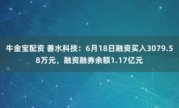 牛金宝配资 善水科技：6月18日融资买入3079.58万元，融资融券余额1.17亿元