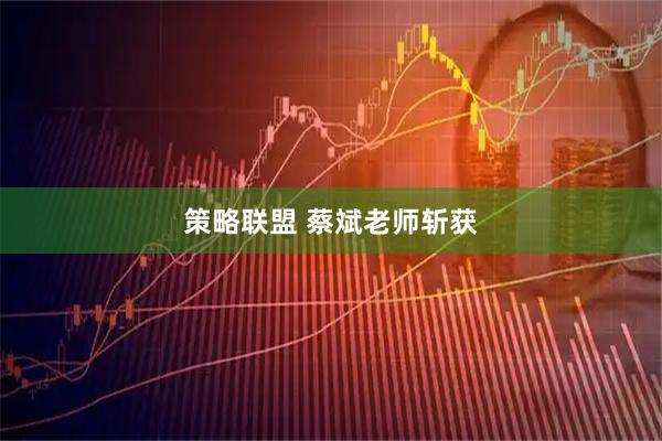 策略联盟 蔡斌老师斩获