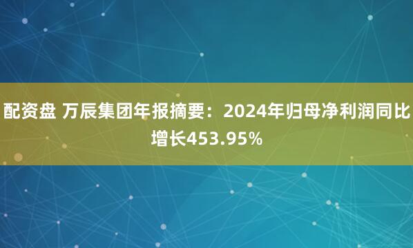 配资盘 万辰集团年报摘要:2024年归母净利润同比增长453.95%