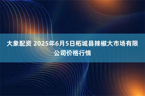 大象配资 2025年6月5日柘城县辣椒大市场有限公司价格行情