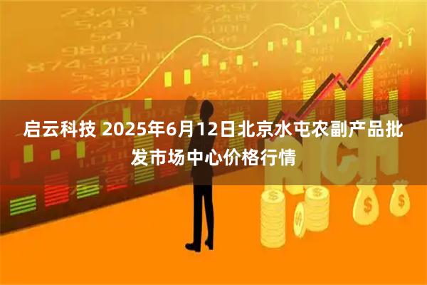 启云科技 2025年6月12日北京水屯农副产品批发市场中心价格行情